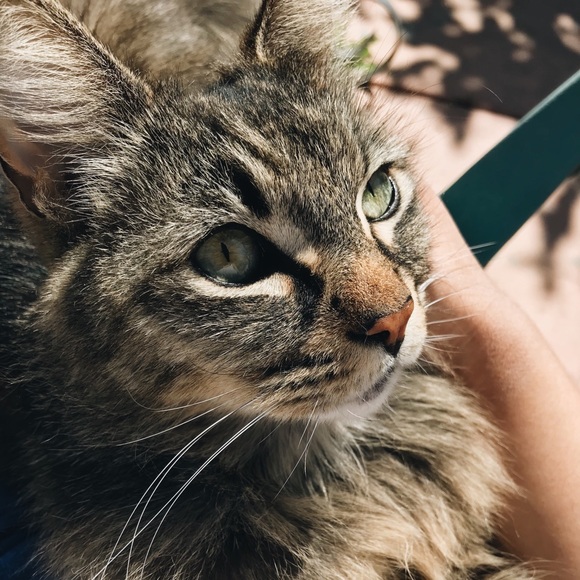 Meet your Posher, Grace - Picture 3 of 3